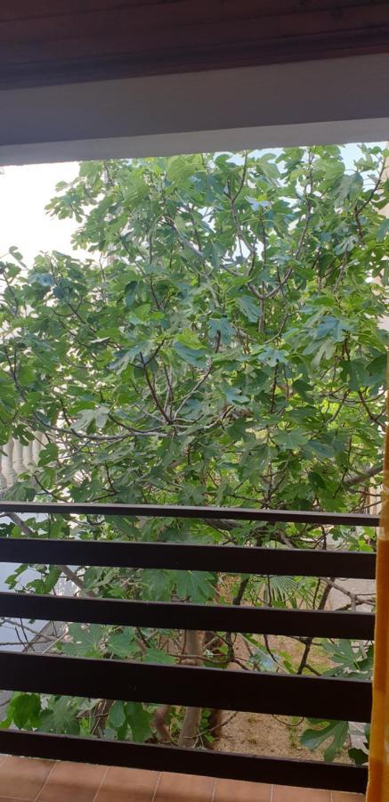 Apartment Tonci Rab Town Dış mekan fotoğraf